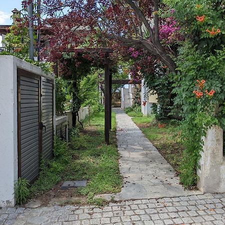 Melina Apartments Nikiti  Exterior foto